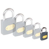 Iron Padlocks (20mm-60mm)