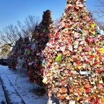 Seoul Padlock Trees