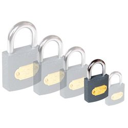 Iron Padlocks (20mm-60mm)