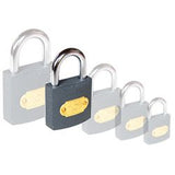 Iron Padlocks (20mm-60mm)