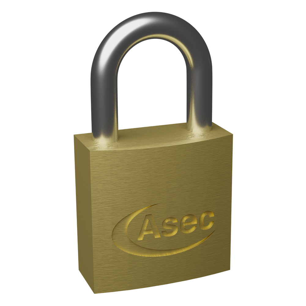 ASEC Brass Padlock Nothing But Padlocks