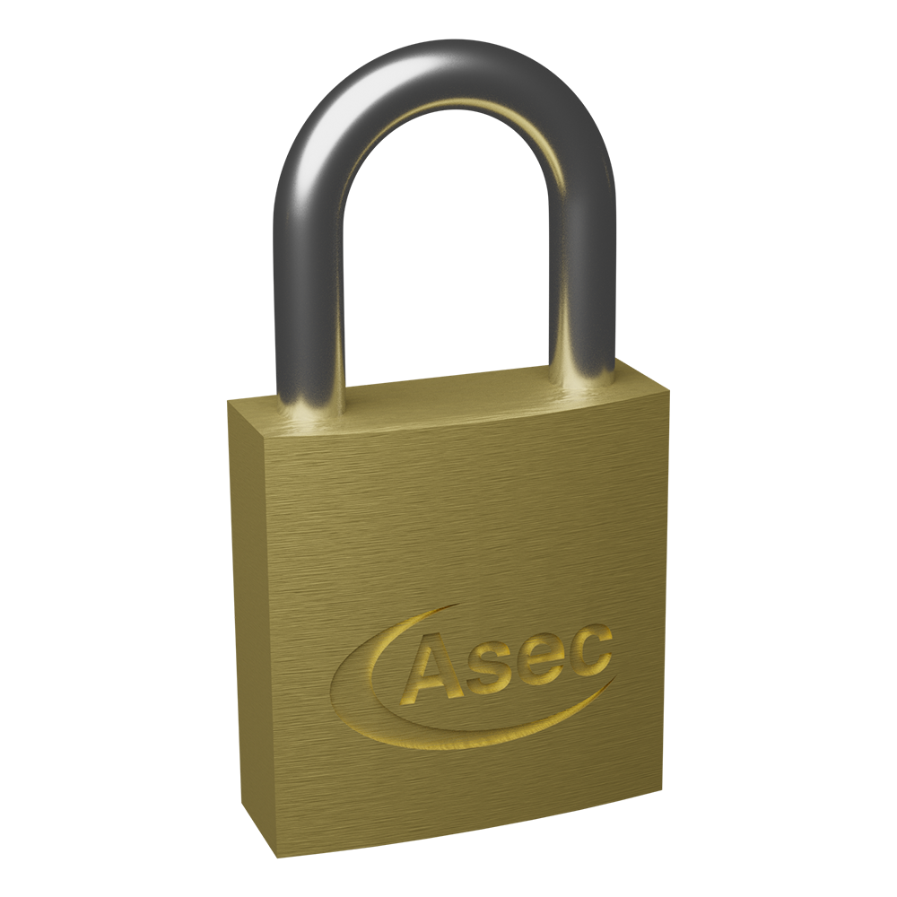ASEC Brass Padlock Nothing But Padlocks