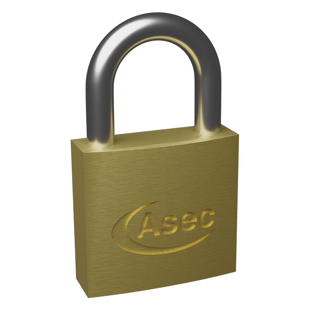 ASEC Brass Padlock Nothing But Padlocks