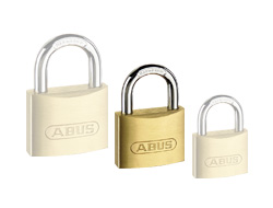 Recorded Master Key Padlock 40mm