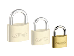 Recorded Master Key Padlock 30mm