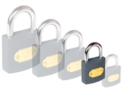 Iron Padlock 30mm