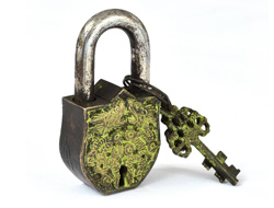 Indian Padlock Dragons